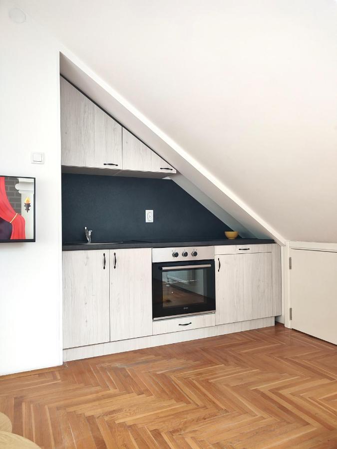 Apartman Ns Dan Private Parking 노비사드 외부 사진
